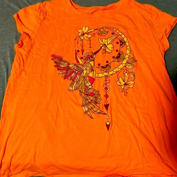 Hummingbird - Picture 1 of 4